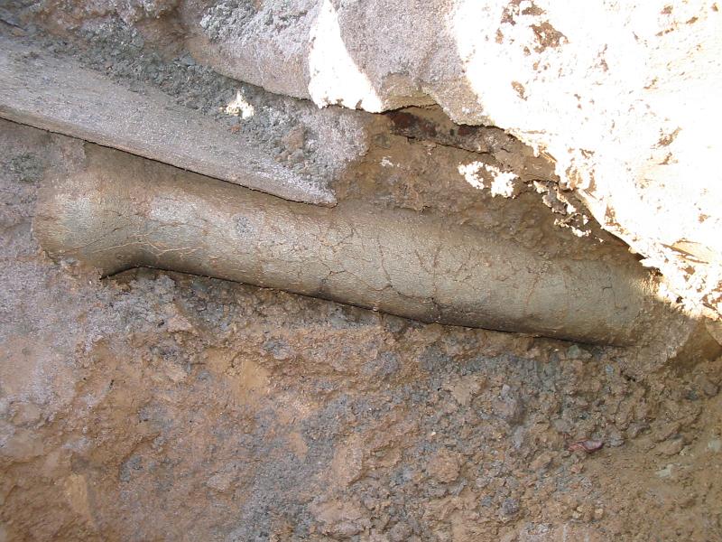 Fastel 2006 mc 019