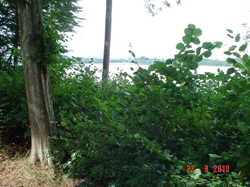 DSC00875