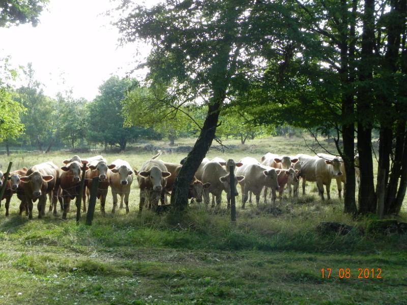 DSCN0445