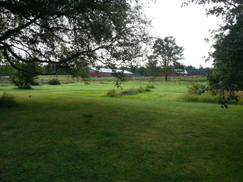 20140815_080032