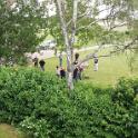 IMG_20190621_134545