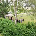 IMG_20190621_162407