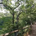 IMG_20190622_164041