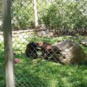 IMG_20190623_125017
